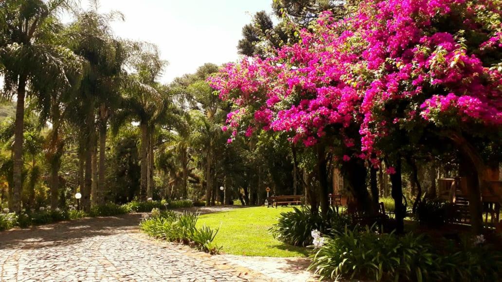 Villa Flor Ecoresort Nova Petropolis Eksteriør bilde